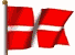 Country Flag