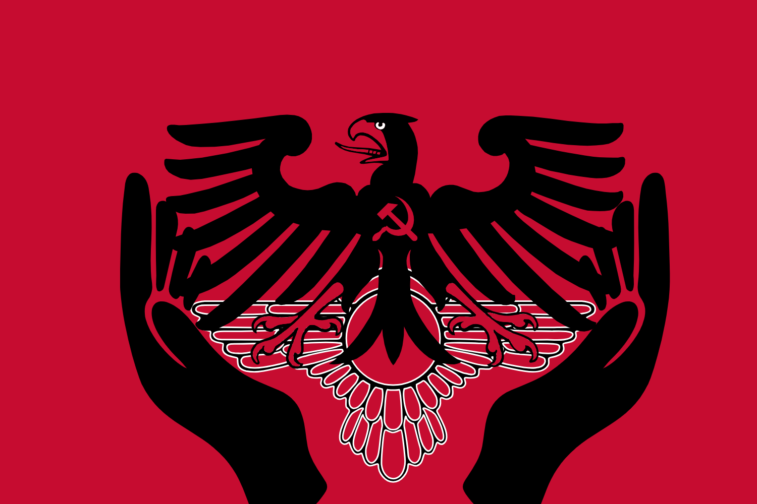 Country Flag